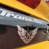 2002 Pontiac Trans Am WS6 Collectors Edition - Image 12