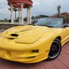 2002 Pontiac Trans Am WS6 Collectors Edition - Image 29