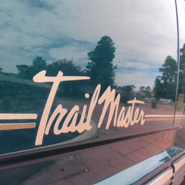 1998 GMC Sierra SLE (Trail Master) - Image 8