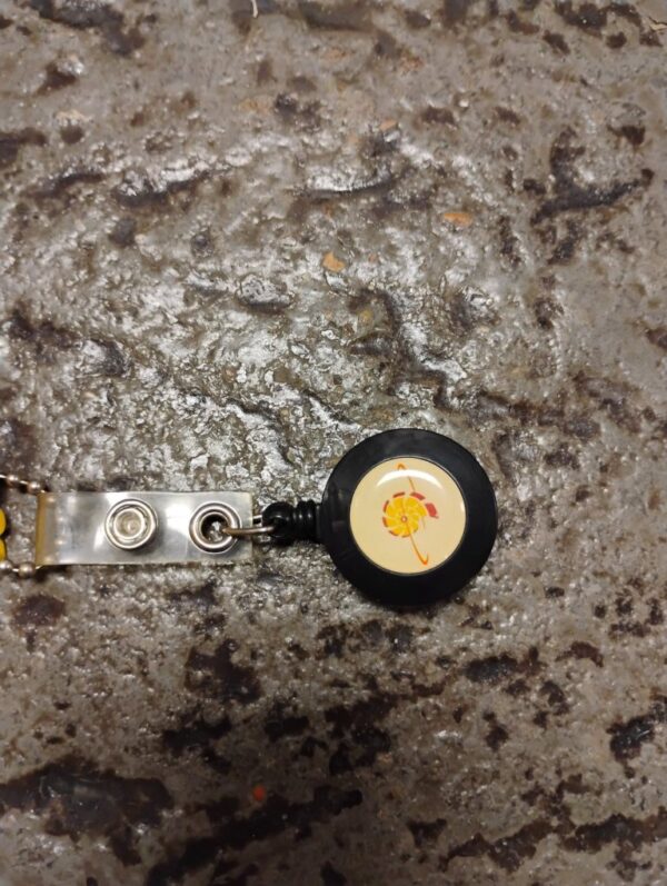 Shell Keys - Image 5