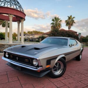 1971 Ford Mustang Boss 351