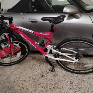 Schwinn Protocol Bicycle