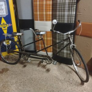 Schwinn Twinn Bicycle