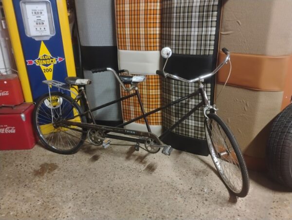 Schwinn Twinn Bicycle