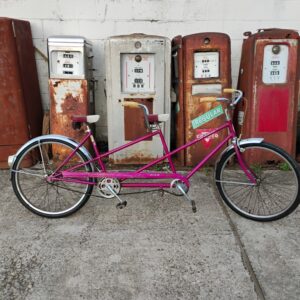 Schwinn Twinn Bicycle