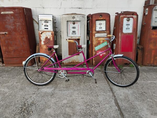 Schwinn Twinn Bicycle